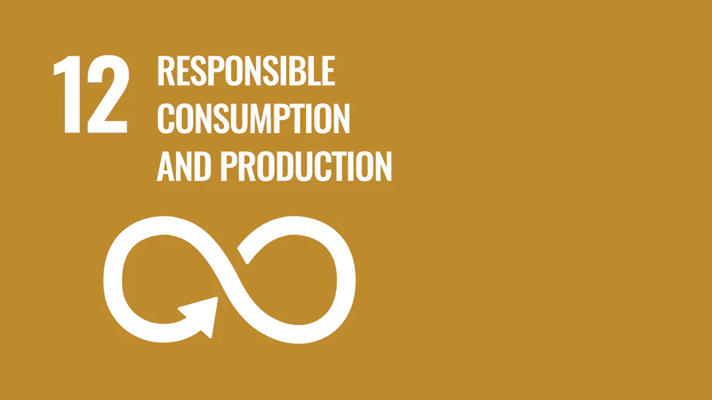 Goal 12: Responsible consumption and production – United Nations Sustainable Development Goals