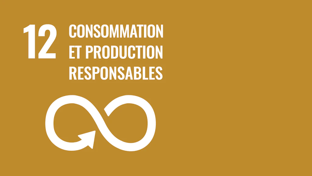 Objectif 12: consommation et production responsables – les Objectifs de développement durable des Nations Unies