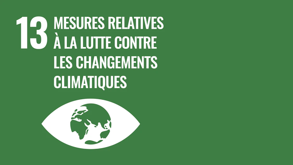 Objectif 13: mesures relatives à la lutte contre les changements climatiques – les Objectifs de développement durable des Nations Unies