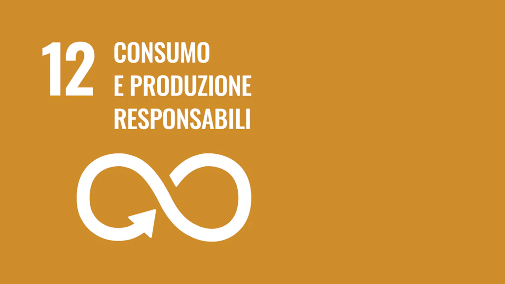 Obiettivo 12: Consumo e produzione responsabili – Obiettivi di sviluppo sostenibile delle Nazioni Unite